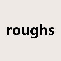 roughs是什么意思