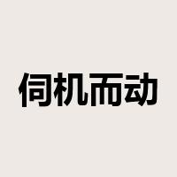 伺机而动是什么意思