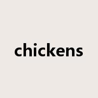 chickens是什么意思
