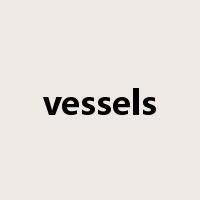 vessels是什么意思