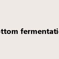 bottom fermentation是什么意思