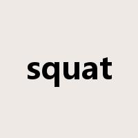 squat是什么意思