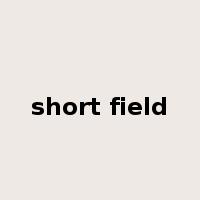 short field是什么意思