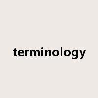 terminology是什么意思