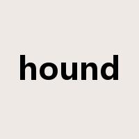 hound是什么意思