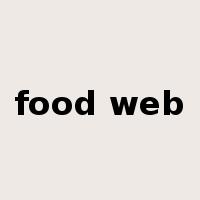 food web是什么意思