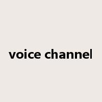 voice channel是什么意思