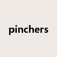 pinchers是什么意思