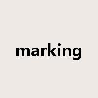 marking是什么意思