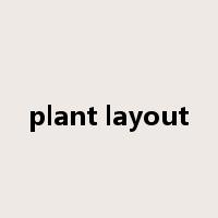 plant layout是什么意思