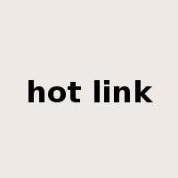 hot link是什么意思