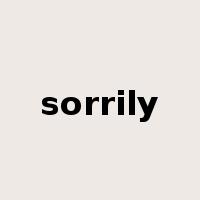 sorrily是什么意思