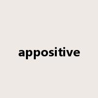 appositive是什么意思