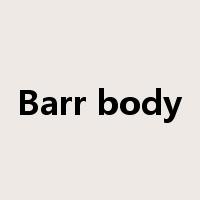 Barr body是什么意思