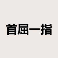 首屈一指是什么意思