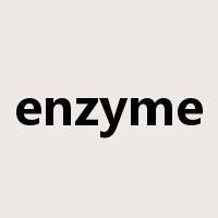 enzyme是什么意思