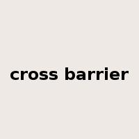 cross barrier是什么意思