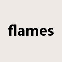 flames是什么意思