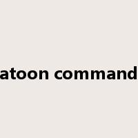 platoon commander是什么意思