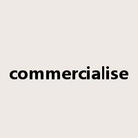 commercialise是什么意思