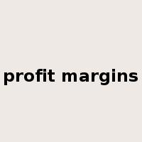 profit margins是什么意思