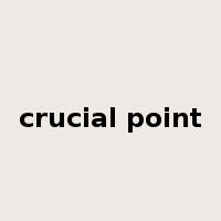 crucial point是什么意思