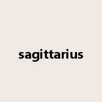 sagittarius是什么意思