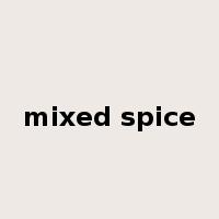 mixed spice是什么意思