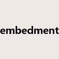 embedment是什么意思