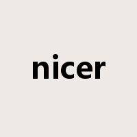 nicer是什么意思