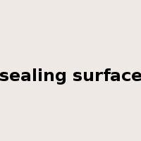 sealing surface是什么意思