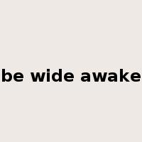 be wide awake是什么意思