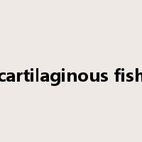 cartilaginous fish是什么意思