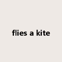 flies a kite是什么意思