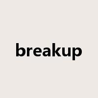 breakup是什么意思