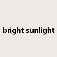 bright sunlight是什么意思