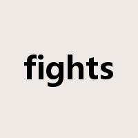 fights是什么意思