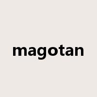 magotan是什么意思