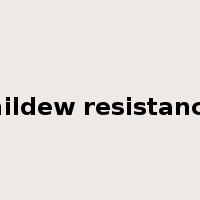 mildew resistance是什么意思