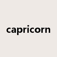 capricorn是什么意思