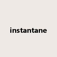 instantane是什么意思