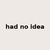 had no idea是什么意思