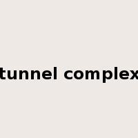 tunnel complex是什么意思