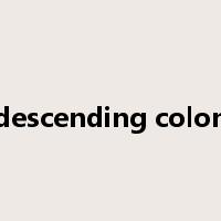 descending colon是什么意思