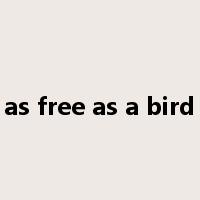 as free as a bird是什么意思