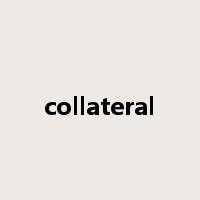 collateral是什么意思
