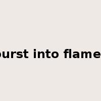 burst into flames是什么意思