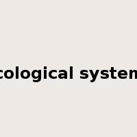 ecological systems是什么意思