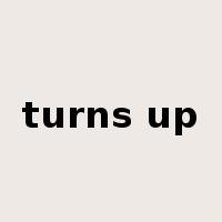 turns up是什么意思