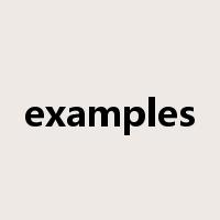 examples是什么意思